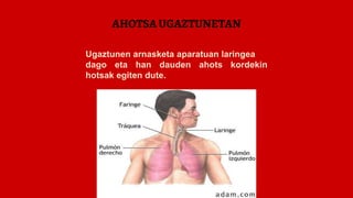 AHOTSA UGAZTUNETAN
Ugaztunen arnasketa aparatuan laringea
dago eta han dauden ahots kordekin
hotsak egiten dute.
 