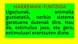 HARREMAN-FUNTZIOA
Ugaztunak, animalia
guztietatik, nerbio sistema
garatuena dutenak dira. Hau
da, estimulua jaso, eta gero,
estimuluari erantzuten diote.
 
