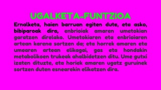 UGALKETA-FUNTZIOA
Ernalketa, haien barruan egiten dute, eta asko,
bibiparoak dira, enbrioiak amaren umetokian
garatzen direlako. Umetokiaren eta enbrioiaren
artean karena sortzen da; eta horrek amaren eta
umearen artean elikagai, gas eta hondakin
metabolikoen trukeak ahalbidetzen ditu. Ume gutxi
izaten dituzte, eta horiek amaren ugatz guruinek
sortzen duten esnearekin elikatzen dira.
 