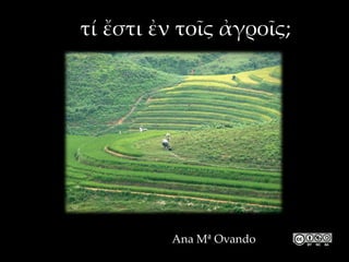 τί ἔστι ἐν τοῖς ἀγροῖς;
Ana Mª Ovando
 
