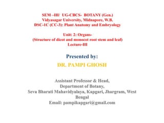 Presented by:
DR. PAMPI GHOSH
Assistant Professor & Head,
Department of Botany,
Seva Bharati Mahavidyalaya, Kapgari, Jhargram, West
Bengal
Email: pampikapgari@gmail.com
SEM –III/ UG-CBCS- BOTANY (Gen.)
Vidyasagar University, Midnapore, W.B.
DSC-1C (CC-3): Plant Anatomy and Embryology
Unit: 2: Organs-
(Structure of dicot and monocot root stem and leaf)
Lecture-III
 