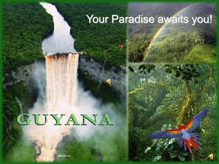 Your Paradise awaits you!
 