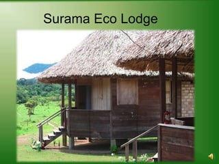Surama Eco Lodge
 