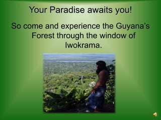 Your Paradise awaits you!
So come and experience the Guyana’s
     Forest through the window of
               Iwokrama.
 