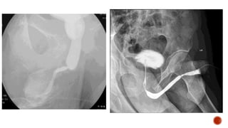 radiological procedures presentation.pptx