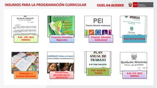 INSUMOS PARA LA PROGRAMACIÓN CURRICULAR
R.M. 199- 2015
MINEDU
Proyectos Educativos
Regionales
Proyecto Educativo
Institucional Rutas del Aprendizaje
Materiales y
recursos Educativos
0rientaciones
generales para la
planificación
Plan Anual de
Trabajo R.M. 572 -2015
MINEDU
 