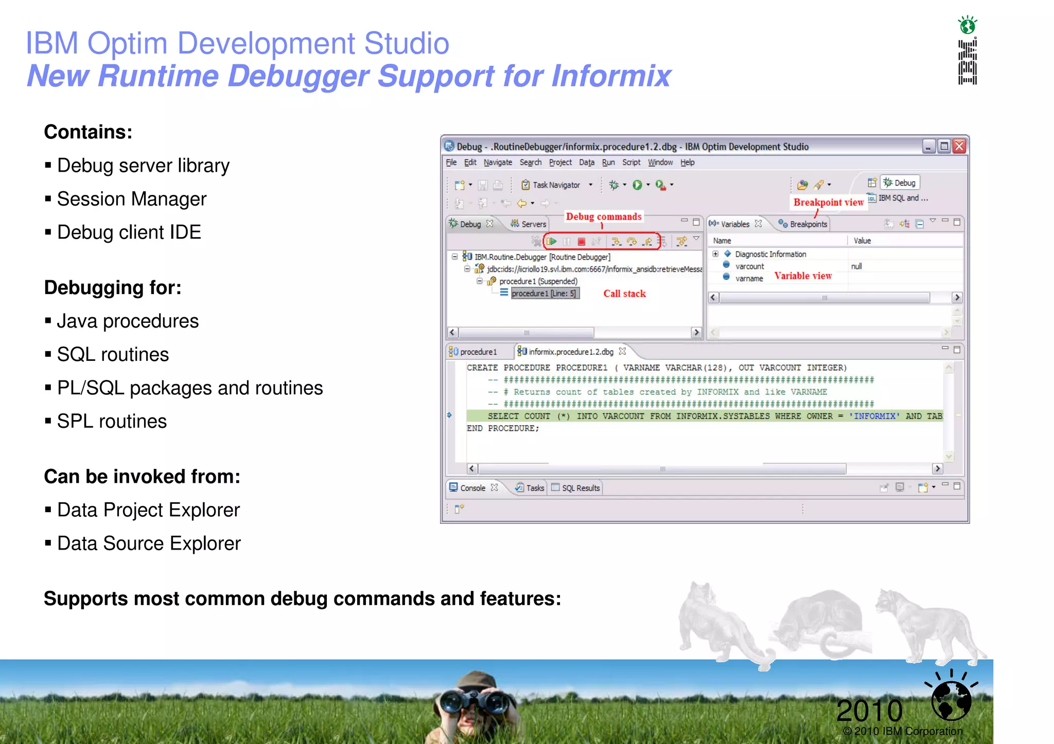 IBM Optim Development Studio
New Runtime Debugger Support for Informix
 Contains:
  Debug server library
  Session Manager
  Debug client IDE

 Debugging for:
  Java procedures
  SQL routines
  PL/SQL packages and routines
  SPL routines

 Can be invoked from:
  Data Project Explorer
  Data Source Explorer

 Supports most common debug commands and features:




                                                     2010
                                                     © 2010 IBM Corporation
 
