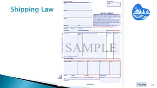 HomeMuammar Law Firm 97
 