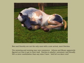 Ben and Dorothy are not the only ones with a new arrival, meet Patches.

The awwwing and eeewing may now commence. Athena and Mosey apparently
figured out how to get in their stall. Patches is playful, untrained, and friendly.
He’s a nicer combination than any sims I have. And he’s so darn cute!
 