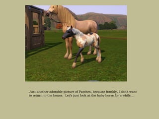 Just another adorable picture of Patches, because frankly, I don’t want
to return to the house. Let’s just look at the baby horse for a while…
 