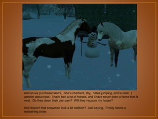 And so we purchased Astra. She‟s obedient, shy, hates jumping, and is neat. I
wonder about neat. I have had a lot of horses, and I have never seen a horse that is
neat. Do they clean their own pen? Will they vacuum my house?
And doesn‟t that snowman look a bit stalkish? Just saying. Frosty needs a
restraining order.

 