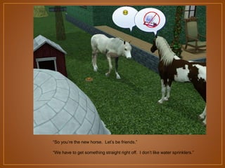 “So you‟re the new horse. Let‟s be friends.”
“We have to get something straight right off. I don‟t like water sprinklers.”

 