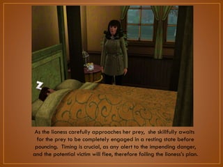 As the lioness carefully approaches her prey, she skillfully awaits
for the prey to be completely engaged in a resting state before
pouncing. Timing is crucial, as any alert to the impending danger,
and the potential victim will flee, therefore foiling the lioness‟s plan.

 