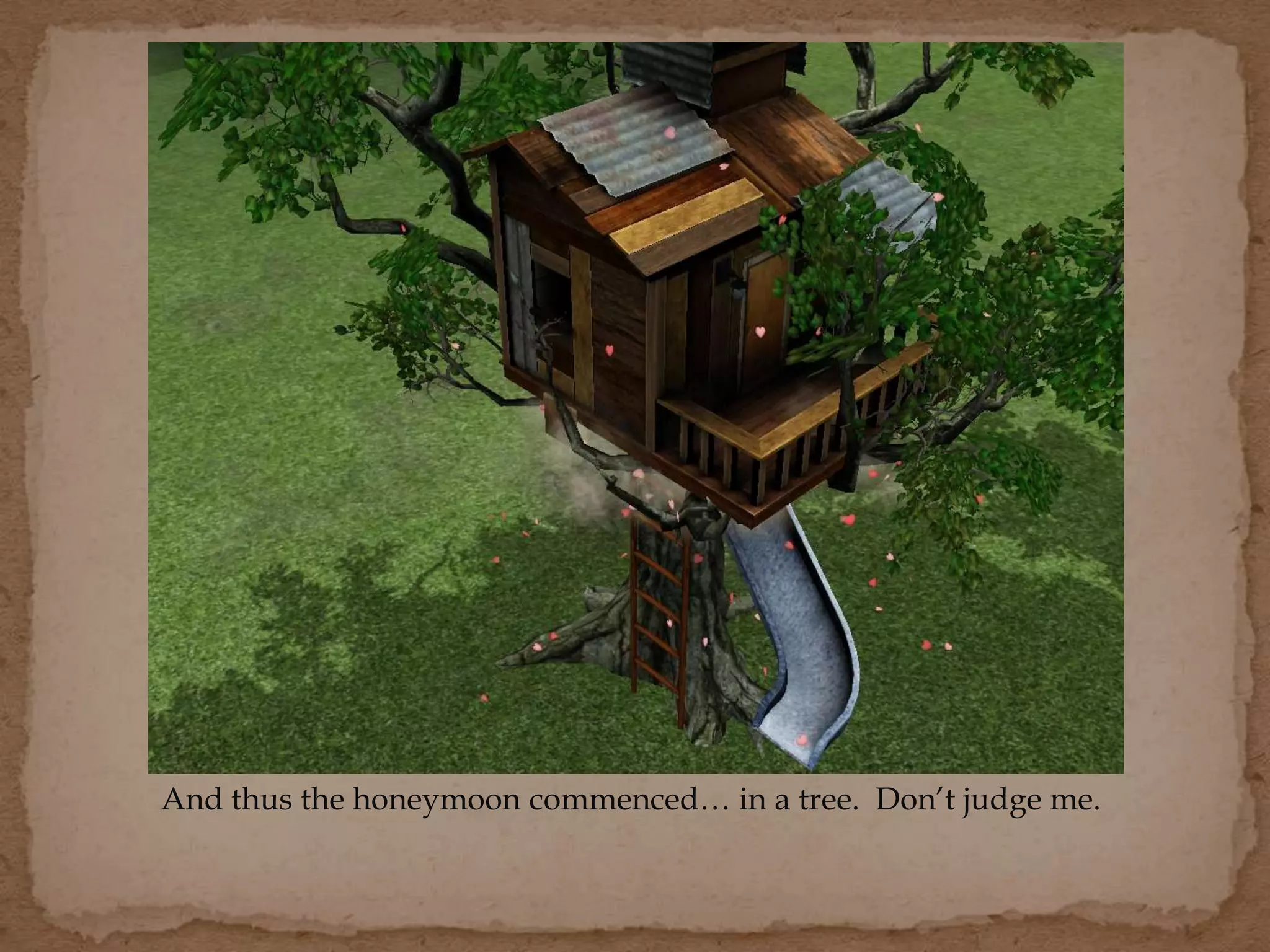 And thus the honeymoon commenced… in a tree. Don’t judge me.
 