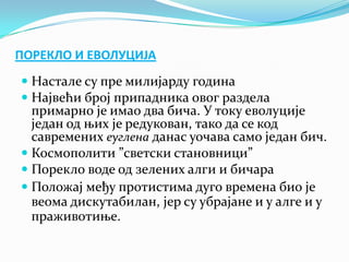 ПОРЕКЛО И ЕВОЛУЦИЈА
 Настале су пре милијарду година
 Највећи број припадника овог раздела
  примарно је имао два бича. У току еволуције
  један од њих је редукован, тако да се код
  савремених еуглена данас уочава само један бич.
 Космополити ”светски становници”
 Порекло воде од зелених алги и бичара
 Положај међу протистима дуго времена био је
  веома дискутабилан, јер су убрајане и у алге и у
  праживотиње.
 