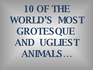 10 OF THE WORLD’S  MOST GROTESQUE  AND  UGLIEST ANIMALS… 