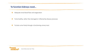 Adequate renal blood flow and oxygenation
To be healthy, rather than damaged or inflamed by disease processes
To drain urine freely through a functioning urinary tract
To function kidneys need…
Acute Kidney Injury Year Three
 