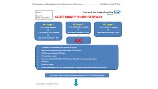 Acute Kidney Injury Year Three
 