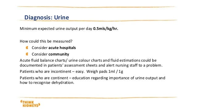 Undergraduate Nurses Aki Year Two