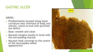 UG PRACTICALS Pathology presentation 2nd year | PPTX