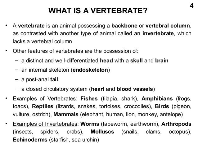 Ugrc142 animals as friends of humans vertebrates