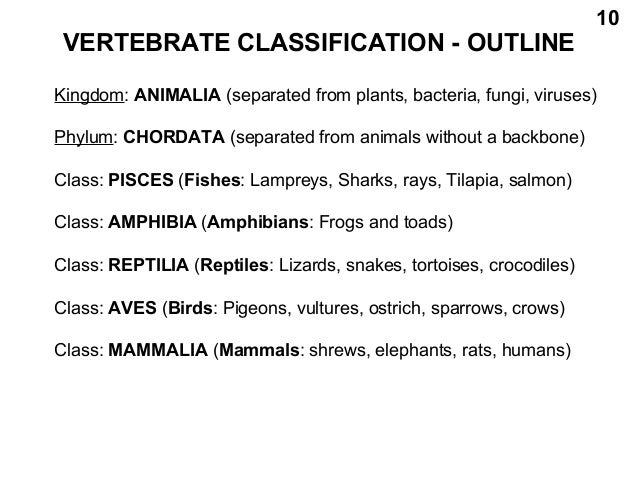 Ugrc142 animals as friends of humans vertebrates