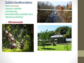 Zaštitabiodiverziteta
Mereipostupci
-zakonse odredbe
-monintoring
botaničkebašte,zoološkivrtovi
-Mostovizaživotinje
• Obrazovanje
• Obrazovanje
 