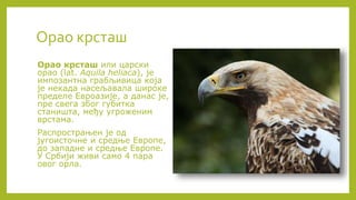 Угрожене животињске врсте Србије | PPT