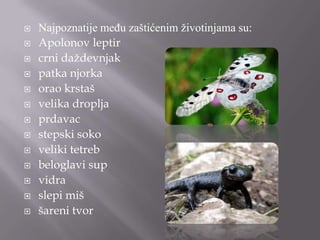 















Najpoznatije među zaštićenim životinjama su:
Apolonov leptir
crni daţdevnjak
patka njorka
orao krstaš
velika droplja
prdavac
stepski soko
veliki tetreb
beloglavi sup
vidra
slepi miš
šareni tvor

 