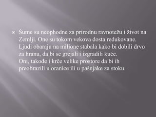 

Šume su neophodne za prirodnu ravnotežu i život na
Zemlji. One su tokom vekova dosta redukovane.
Ljudi obaraju na milione stabala kako bi dobili drvo
za hranu, da bi se grejali i izgradili kuće.
Oni, takođe i krče velike prostore da bi ih
preobrazili u oranice ili u pašnjake za stoku.

 