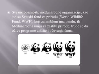 

Svesne opasnosti, međunarodne organizacije, kao
što su Svetski fond za prirodu (World Wildlife
Fund, WWF), koji za amblem ima pandu, ili
Međunarodna unija za zaštitu prirode, trude se da
ožive programe zaštite i očuvanja šuma.

 