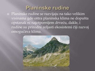 

Planinske rudine se razvijaju na tako velikim
visinama gde oštra planinska klima ne dopušta
opstanak ni najotpornijem drveću, dakle, i
rudine su prirodni zeljasti ekosistemi čiji razvoj
omogućava klima.

 