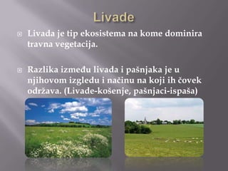 



Livada je tip ekosistema na kome dominira
travna vegetacija.
Razlika između livada i pašnjaka je u
njihovom izgledu i načinu na koji ih čovek
održava. (Livade-košenje, pašnjaci-ispaša)

 