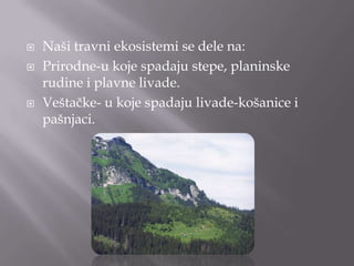  Naši travni ekosistemi se dele na:
 Prirodne-u koje spadaju stepe, planinske
rudine i plavne livade.
 Veštačke- u koje spadaju livade-košanice i
pašnjaci.
 