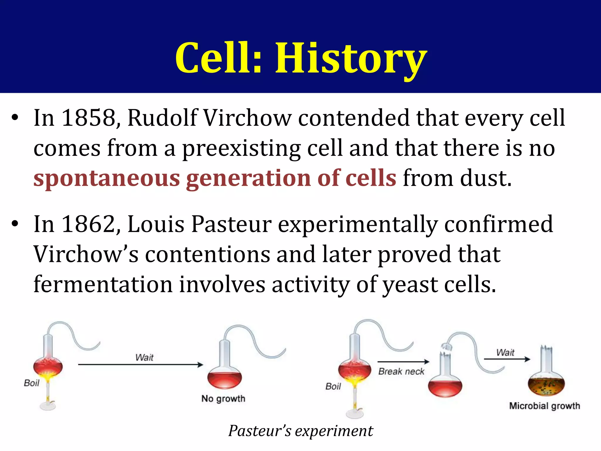 Cell: History
• In 1858, Rudolf Virchow contended that every cell
comes from a preexisting cell and that there is no
spontaneous generation of cells from dust.
• In 1862, Louis Pasteur experimentally confirmed
Virchow’s contentions and later proved that
fermentation involves activity of yeast cells.
Pasteur’s experiment
 