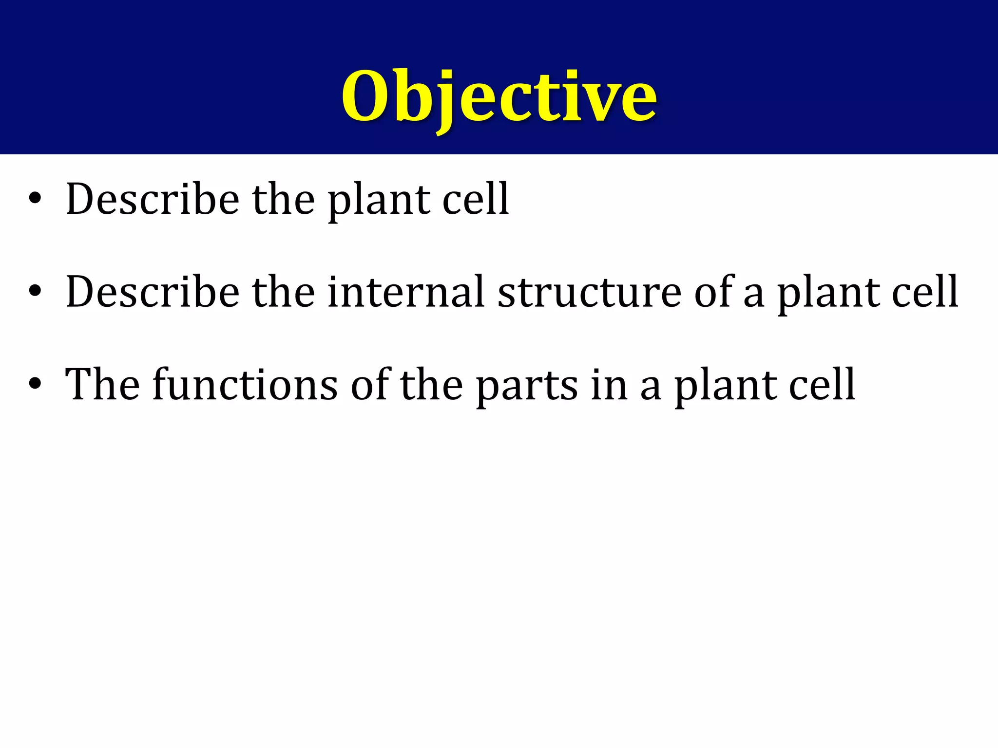 Objective
• Describe the plant cell
• Describe the internal structure of a plant cell
• The functions of the parts in a plant cell
 