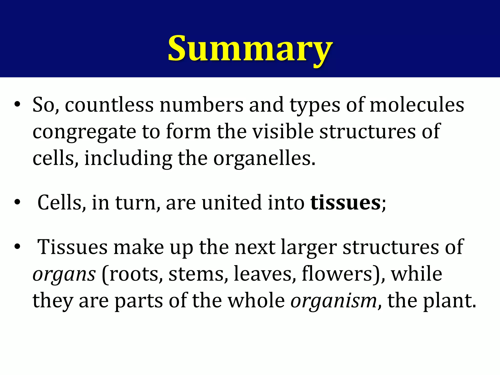 Summary
• So, countless numbers and types of molecules
congregate to form the visible structures of
cells, including the organelles.
• Cells, in turn, are united into tissues;
• Tissues make up the next larger structures of
organs (roots, stems, leaves, flowers), while
they are parts of the whole organism, the plant.
 