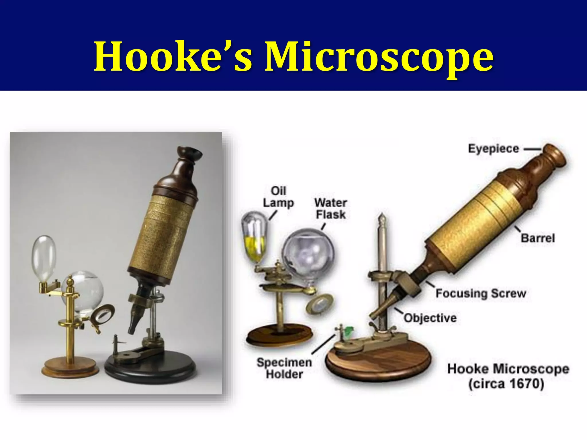 Hooke’s Microscope
 