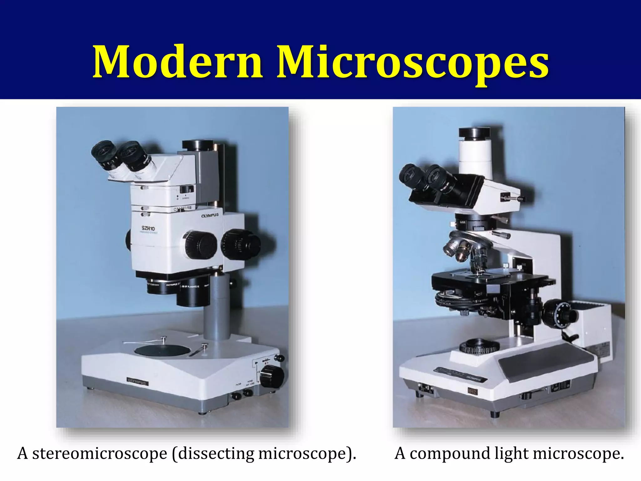Modern Microscopes
A stereomicroscope (dissecting microscope). A compound light microscope.
 