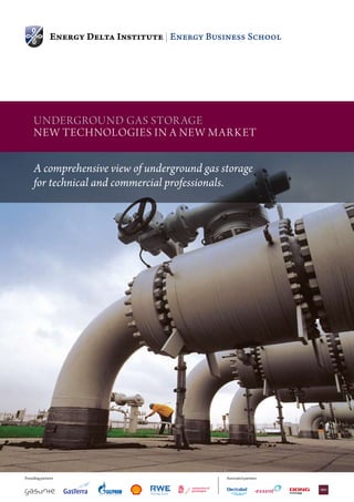 UndergroUnd gas stor age
     new technologies in a new m ark et


     A comprehensive view of underground gas storage
     for technical and commercial professionals.




Founding partners                             Associated partners
 