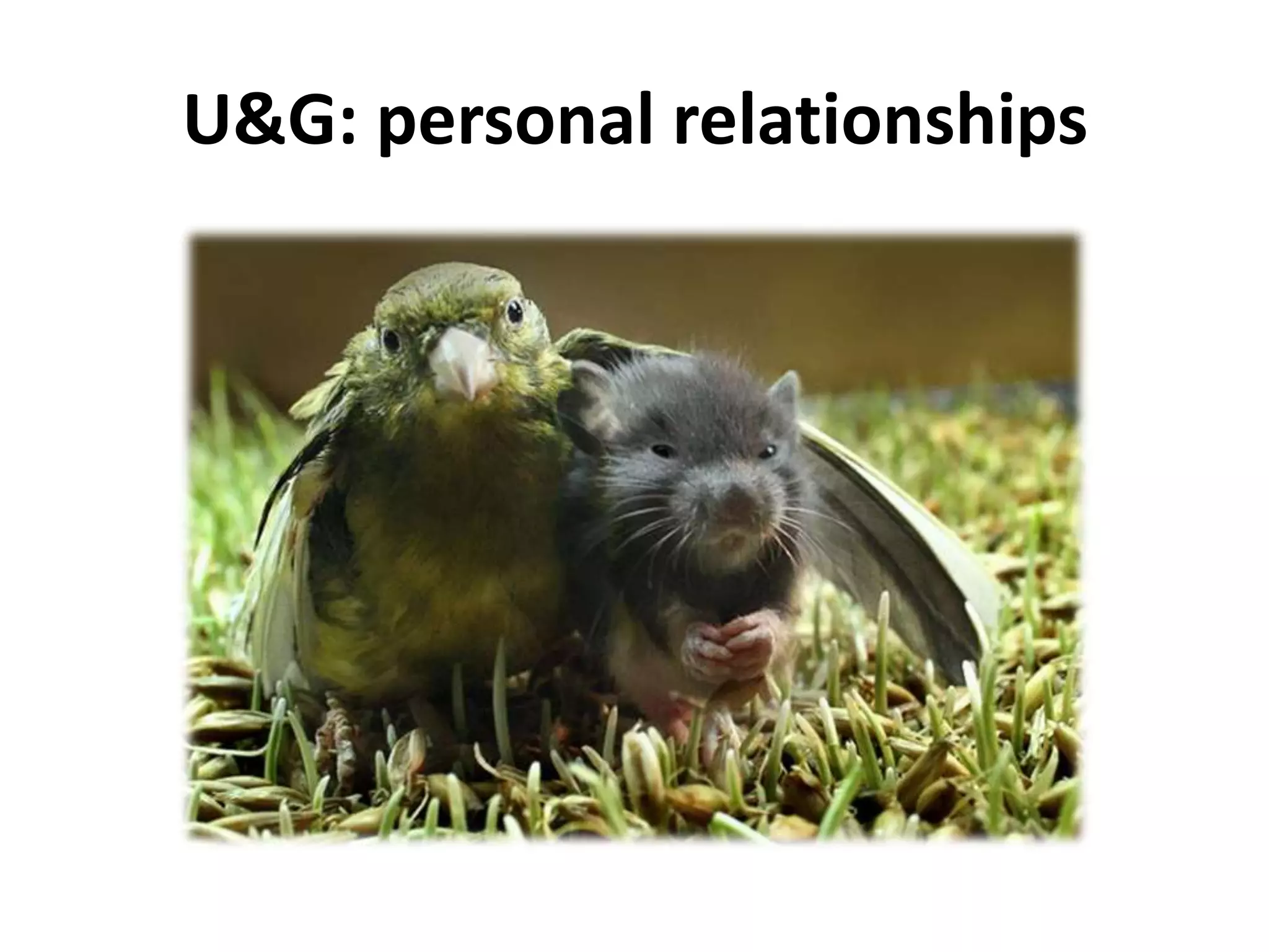 U&G: personal relationships