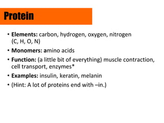 Protein Element Macromolecules_Lesson.pptx