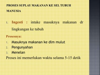 1. Ingesti : intake masuknya makanan dr
lingkungan ke tubuh
Prosesnya:
1. Masuknya makanan ke dlm mulut
2. Pengunyahan
3. Menelan
Proses ini memerlukan waktu selama 5-15 detik
 
