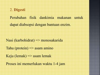 2. Digesti
Perubahan fisik dankimia makanan untuk
dapat diabsopsi dengan bantuan enzim.
Nasi (karbohidrat) => monosakarida
Tahu (protein) => asam amino
Keju (lemak) => asam lemak
Proses ini memerlukan waktu 1-4 jam
 