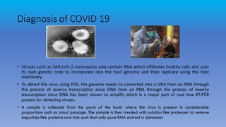 Diagnosis of COVID 19
• Viruses such as SAR-CoV-2 coronavirus only contain RNA which infiltrates healthy cells and uses
its own genetic code to incorporate into the host genome and then replicate using the host
machinery.
• To detect the virus using PCR, the genome needs to converted into a DNA from an RNA through
the process of reverse transcription since DNA from an RNA through the process of reverse
transcription since DNA has been shown to amplify which is a major part of real time RT-PCR
process for detecting viruses.
• A sample is collected from the parts of the body where the virus is present in considerable
proportions such as nasal passage. The sample is then treated with solution like proteases to remove
impurities like proteins and fats such that only pure RNA extract is obtained.
 