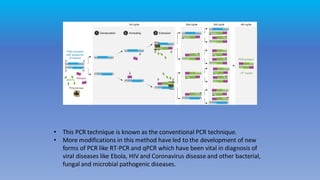 • This PCR technique is known as the conventional PCR technique.
• More modifications in this method have led to the development of new
forms of PCR like RT-PCR and qPCR which have been vital in diagnosis of
viral diseases like Ebola, HIV and Coronavirus disease and other bacterial,
fungal and microbial pathogenic diseases.
 