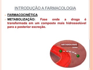 INTRODUÇÃO A FARMACOLOGIA
 FARMACOCINÉTICA
 METABOLIZAÇÃO: Fase onde a droga é
transformada em um composto mais hidrossolúvel
para a posterior excreção.
 