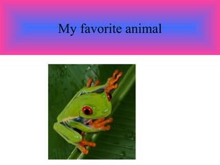 My favorite animal 