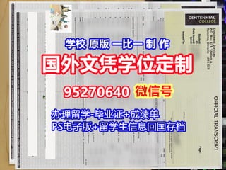 DU degree Cert diploma Transcripta 