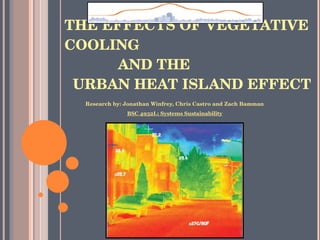 THE EFFECTS OF VEGETATIVE COOLING    AND THE   URBAN HEAT ISLAND EFFECT ,[object Object],[object Object]